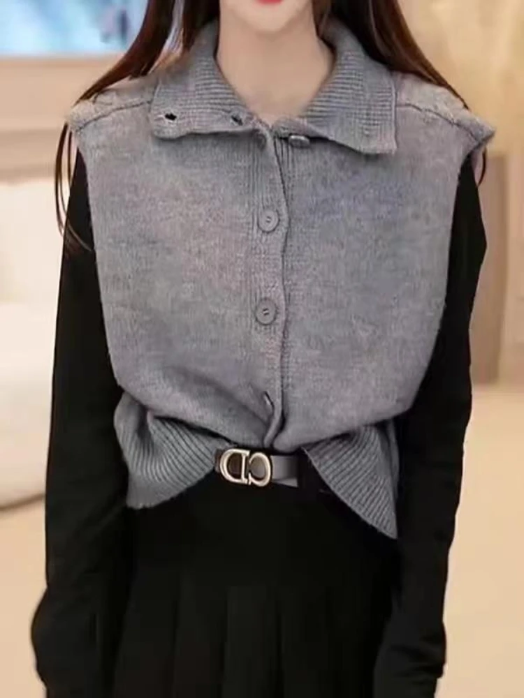 Female Sweater Loose Cardigan  - đánh giá và giá Winter Clothing Trends 2025 Women'S